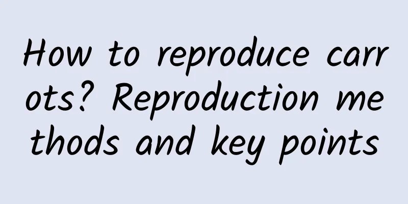 How to reproduce carrots? Reproduction methods and key points