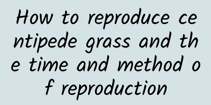 How to reproduce centipede grass and the time and method of reproduction