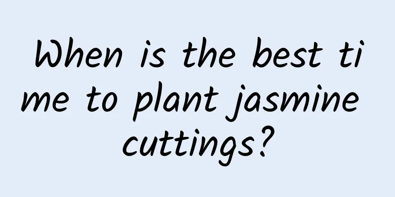 When is the best time to plant jasmine cuttings?