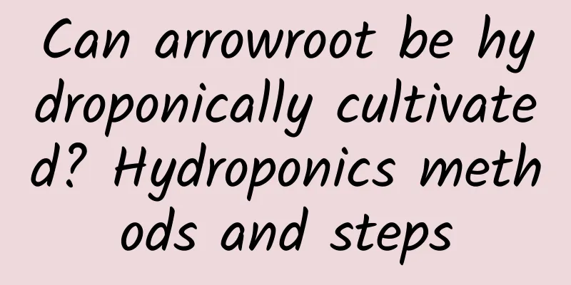 Can arrowroot be hydroponically cultivated? Hydroponics methods and steps