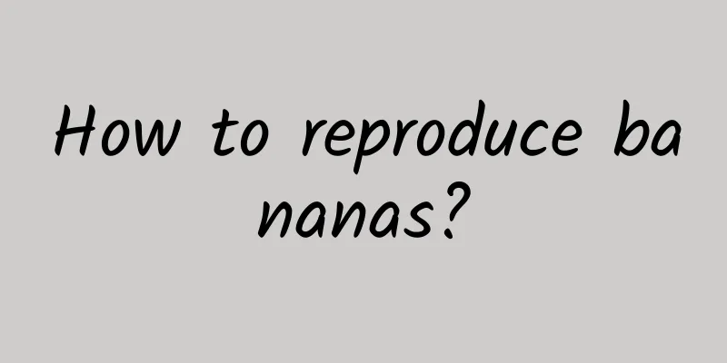 How to reproduce bananas?