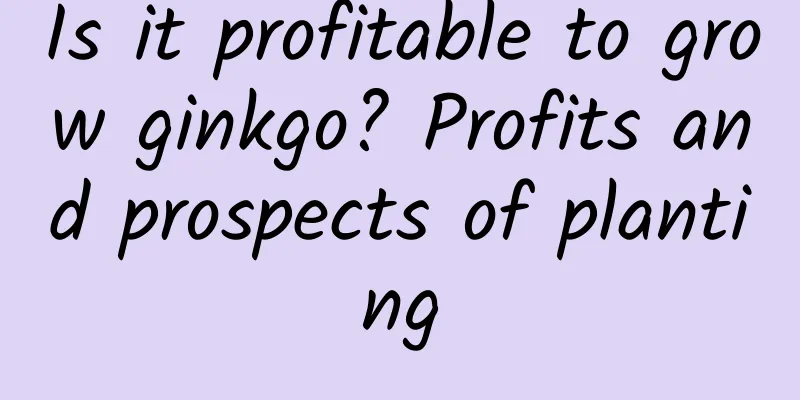 Is it profitable to grow ginkgo? Profits and prospects of planting