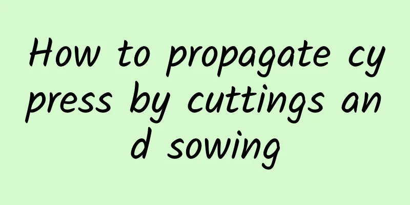 How to propagate cypress by cuttings and sowing