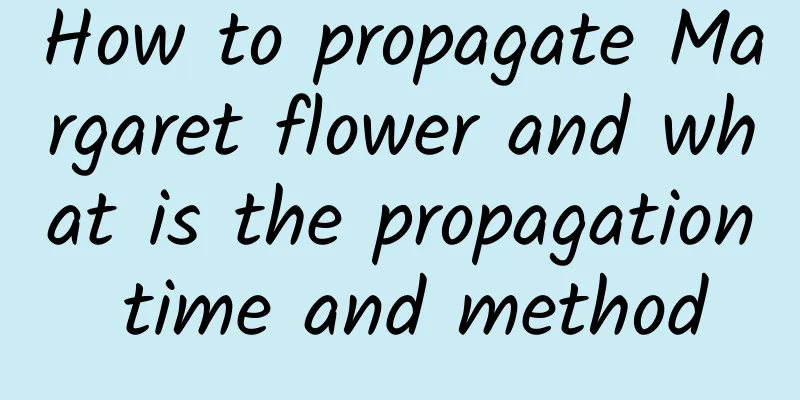 How to propagate Margaret flower and what is the propagation time and method
