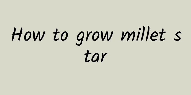 How to grow millet star