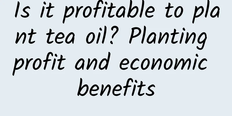 Is it profitable to plant tea oil? Planting profit and economic benefits