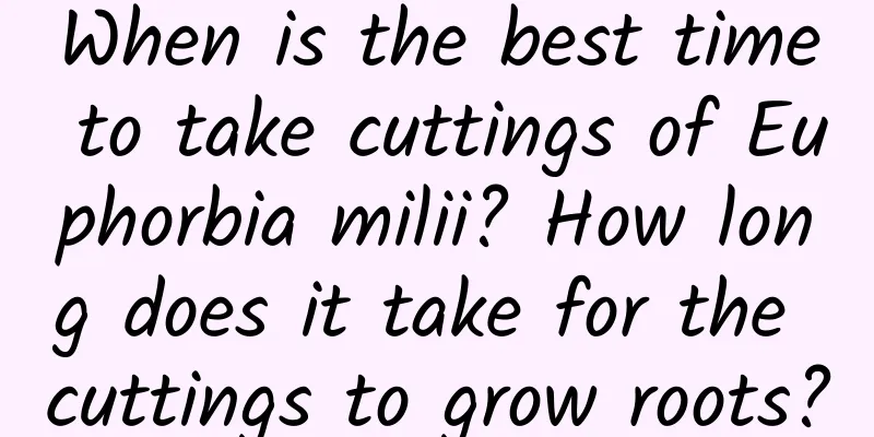 When is the best time to take cuttings of Euphorbia milii? How long does it take for the cuttings to grow roots?
