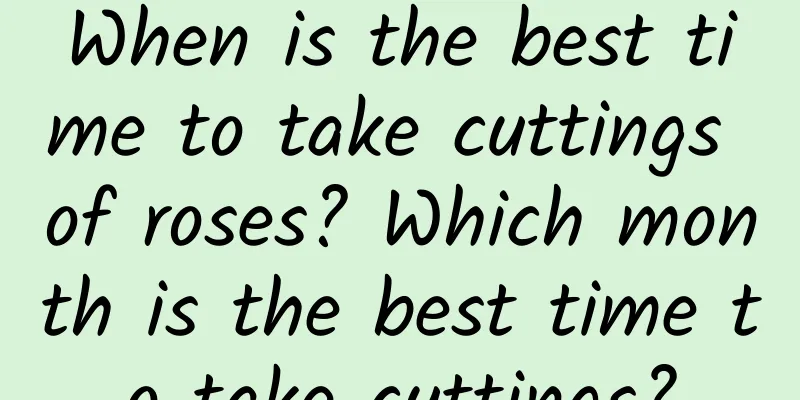 When is the best time to take cuttings of roses? Which month is the best time to take cuttings?