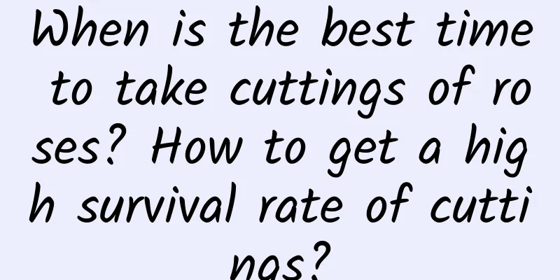 When is the best time to take cuttings of roses? How to get a high survival rate of cuttings?