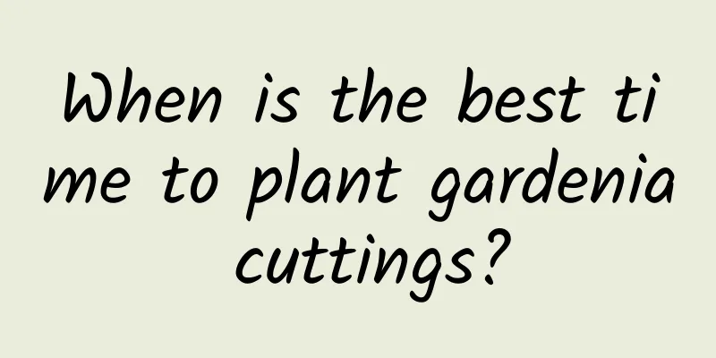 When is the best time to plant gardenia cuttings?
