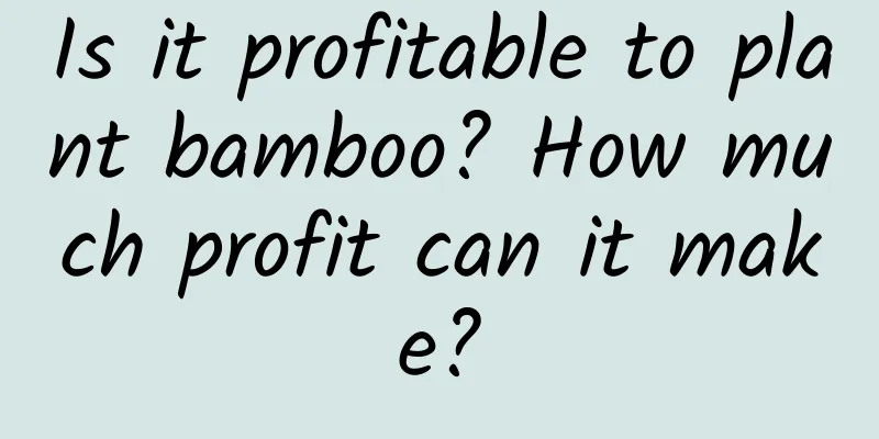 Is it profitable to plant bamboo? How much profit can it make?