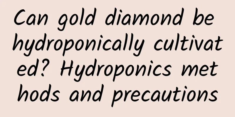 Can gold diamond be hydroponically cultivated? Hydroponics methods and precautions