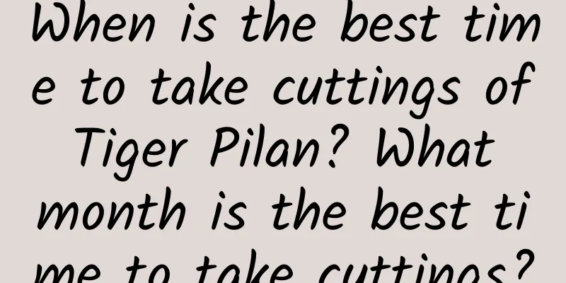 When is the best time to take cuttings of Tiger Pilan? What month is the best time to take cuttings?