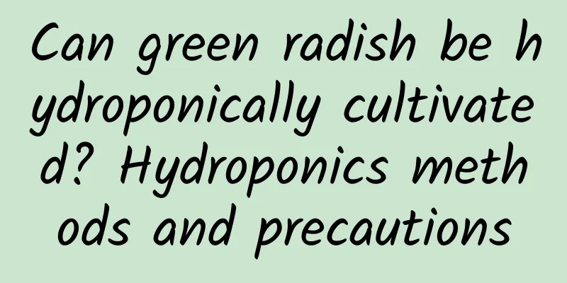 Can green radish be hydroponically cultivated? Hydroponics methods and precautions