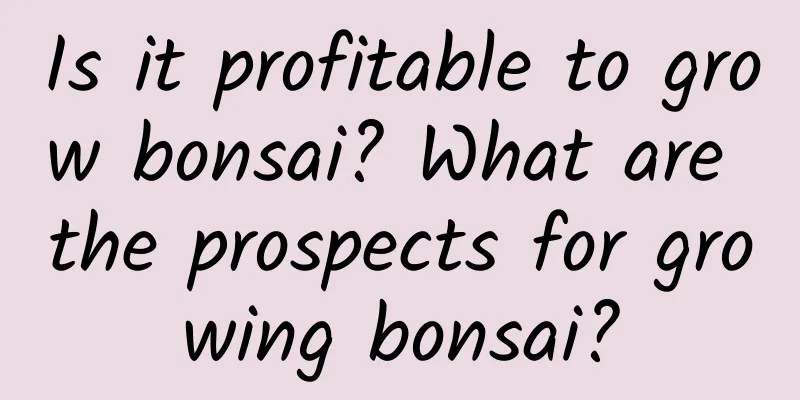 Is it profitable to grow bonsai? What are the prospects for growing bonsai?
