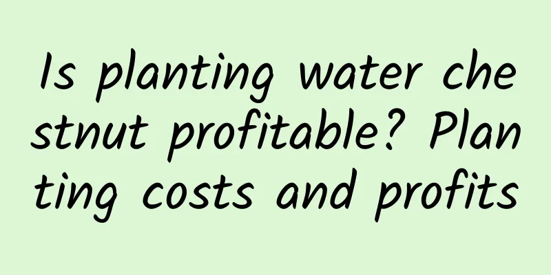 Is planting water chestnut profitable? Planting costs and profits