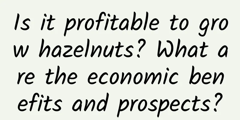 Is it profitable to grow hazelnuts? What are the economic benefits and prospects?
