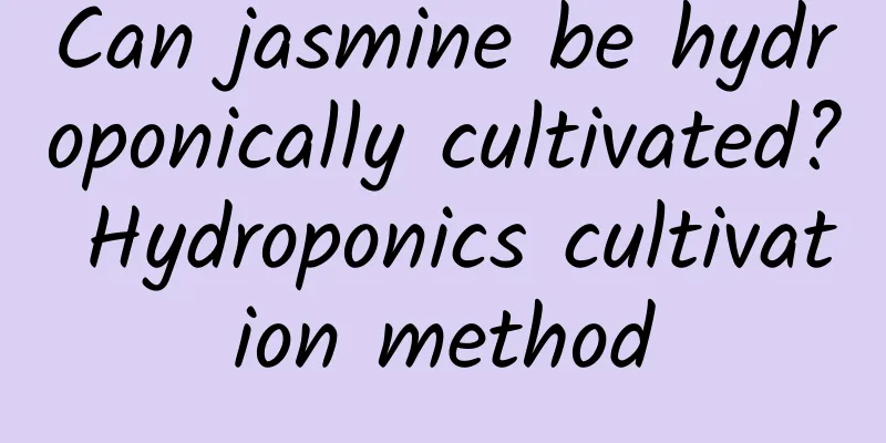 Can jasmine be hydroponically cultivated? Hydroponics cultivation method