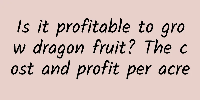 Is it profitable to grow dragon fruit? The cost and profit per acre