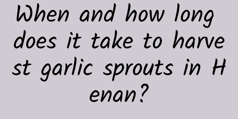 When and how long does it take to harvest garlic sprouts in Henan?
