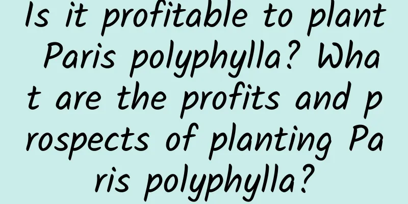 Is it profitable to plant Paris polyphylla? What are the profits and prospects of planting Paris polyphylla?