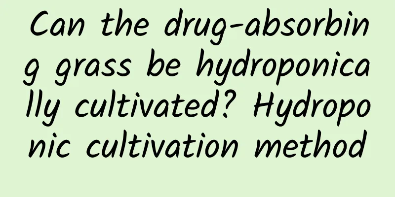 Can the drug-absorbing grass be hydroponically cultivated? Hydroponic cultivation method