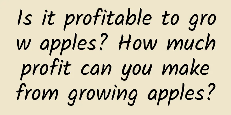 Is it profitable to grow apples? How much profit can you make from growing apples?