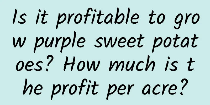 Is it profitable to grow purple sweet potatoes? How much is the profit per acre?