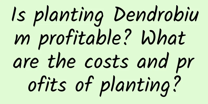 Is planting Dendrobium profitable? What are the costs and profits of planting?