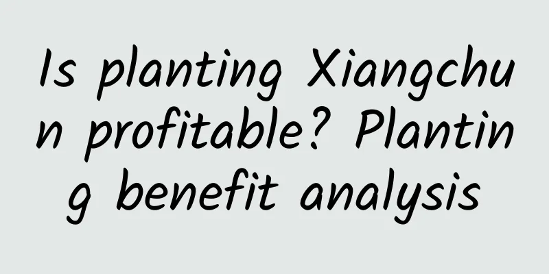 Is planting Xiangchun profitable? Planting benefit analysis