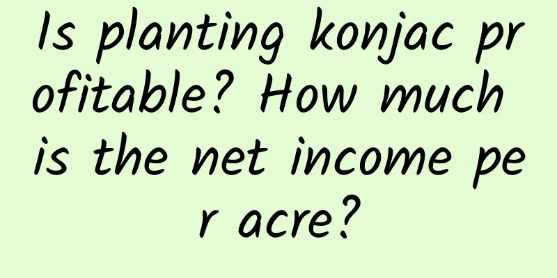 Is planting konjac profitable? How much is the net income per acre?