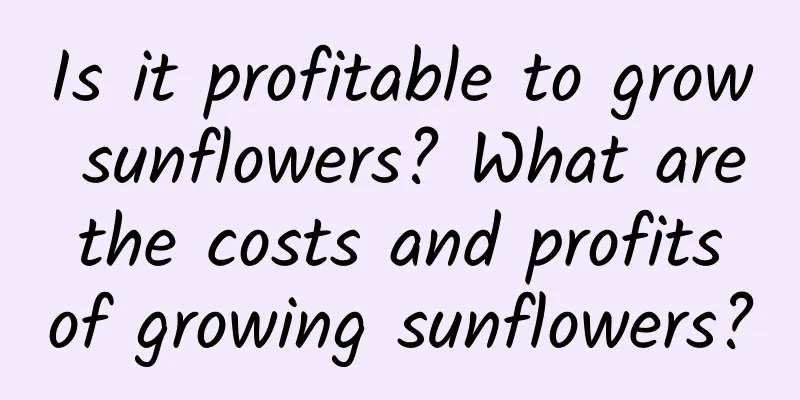 Is it profitable to grow sunflowers? What are the costs and profits of growing sunflowers?