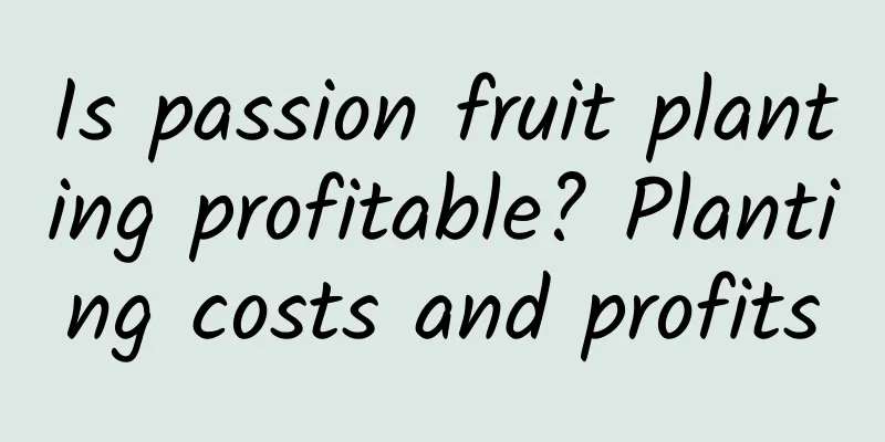 Is passion fruit planting profitable? Planting costs and profits