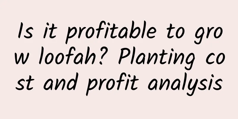 Is it profitable to grow loofah? Planting cost and profit analysis