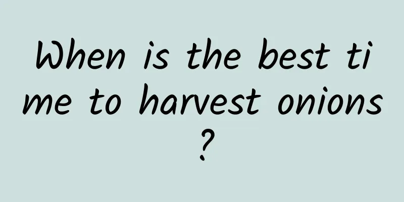 When is the best time to harvest onions?