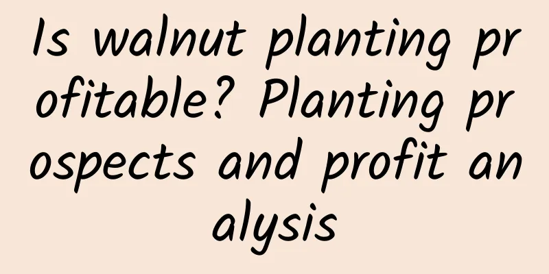 Is walnut planting profitable? Planting prospects and profit analysis