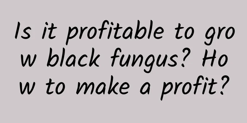Is it profitable to grow black fungus? How to make a profit?