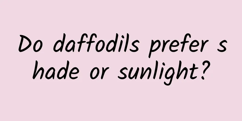 Do daffodils prefer shade or sunlight?
