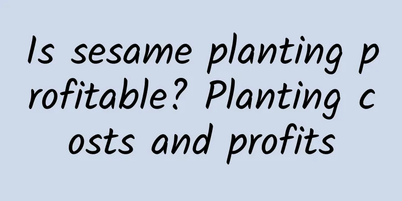 Is sesame planting profitable? Planting costs and profits