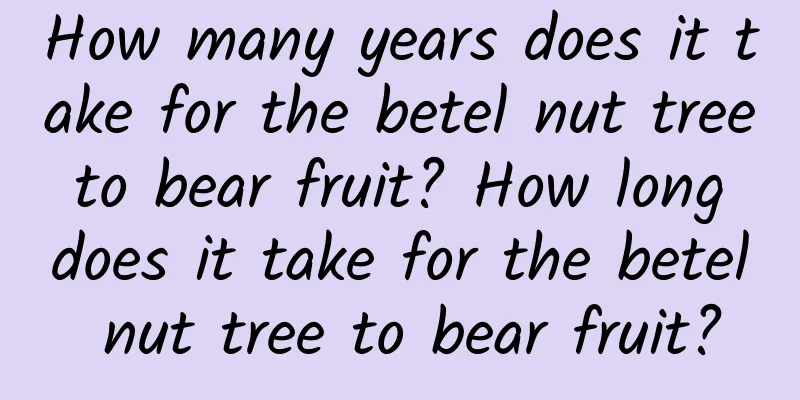 How many years does it take for the betel nut tree to bear fruit? How long does it take for the betel nut tree to bear fruit?