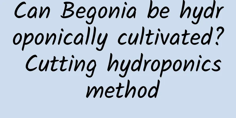 Can Begonia be hydroponically cultivated? Cutting hydroponics method