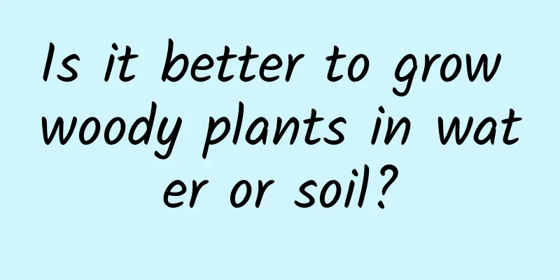 Is it better to grow woody plants in water or soil?