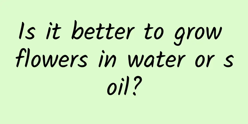 Is it better to grow flowers in water or soil?