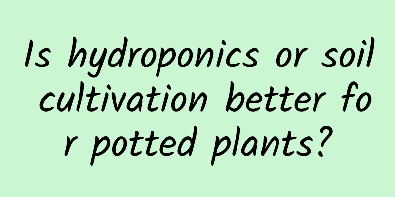 Is hydroponics or soil cultivation better for potted plants?