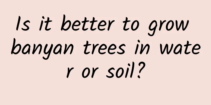 Is it better to grow banyan trees in water or soil?