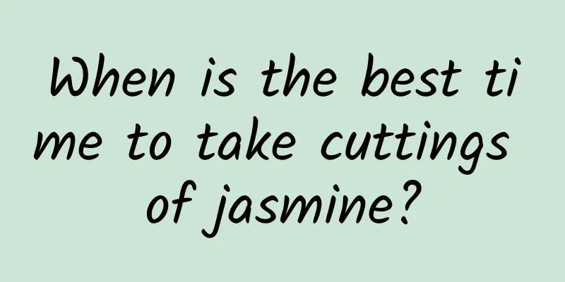 When is the best time to take cuttings of jasmine?
