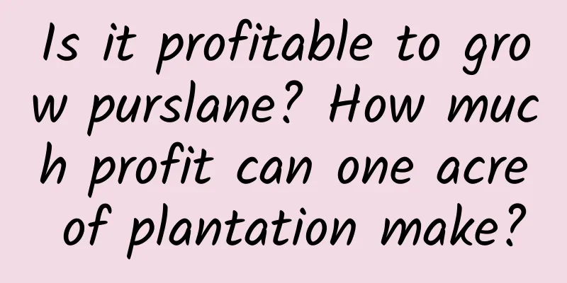 Is it profitable to grow purslane? How much profit can one acre of plantation make?