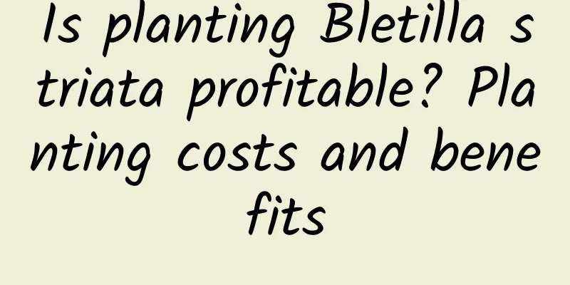 Is planting Bletilla striata profitable? Planting costs and benefits