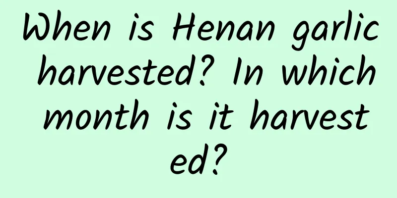 When is Henan garlic harvested? In which month is it harvested?