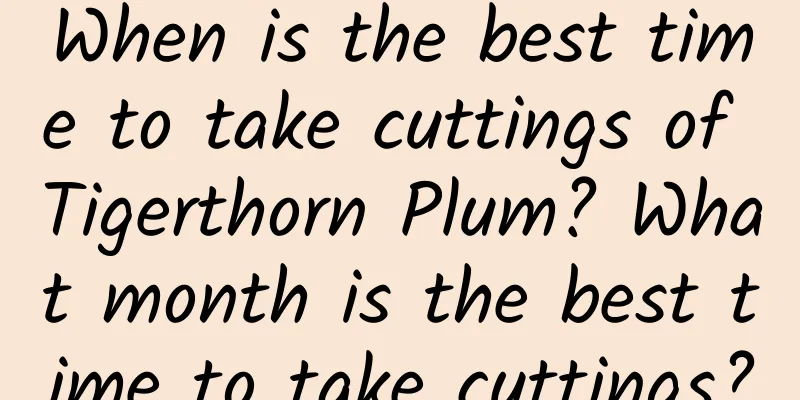 When is the best time to take cuttings of Tigerthorn Plum? What month is the best time to take cuttings?